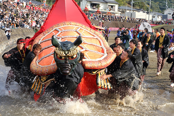 八代妙見菜「ガメ」